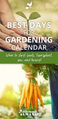 Best-Days-Gardening-Pin