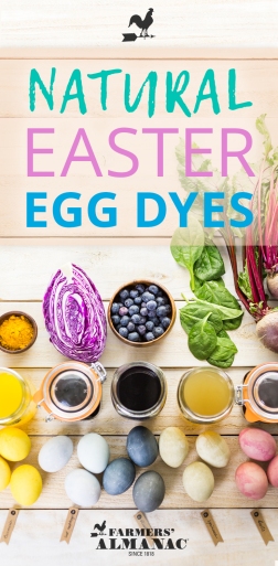 Natural-Easter-Egg-Dye-Pin