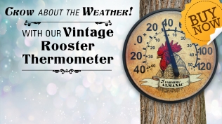 Rooster_Thermometer_fxbx-2